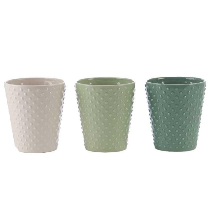 VASO PHALENO MIX COLOR H.14.2